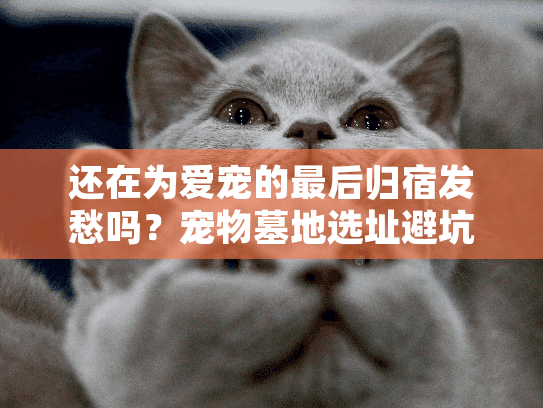 还在为爱宠的最后归宿发愁吗？宠物墓地选址避坑终极指南