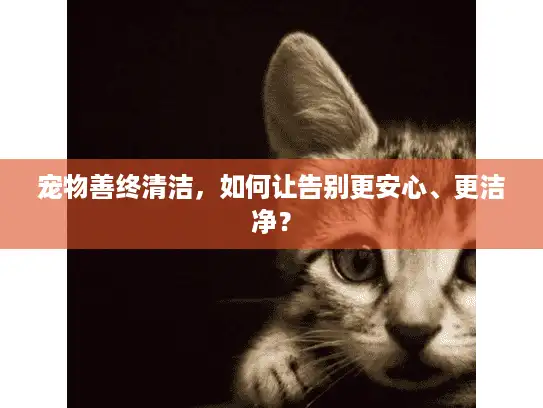 宠物善终清洁，如何让告别更安心、更洁净？
