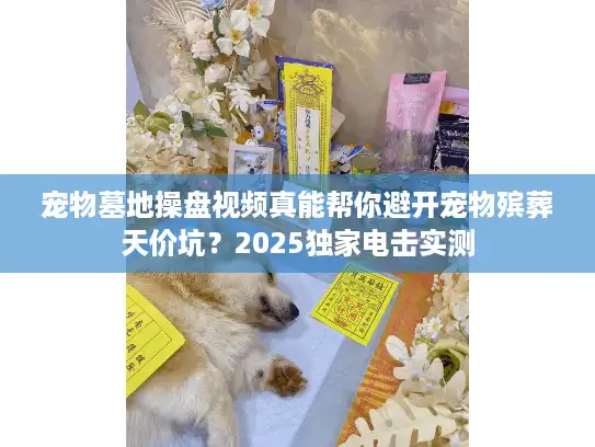 宠物墓地操盘视频真能帮你避开宠物殡葬天价坑？2025独家电击实测