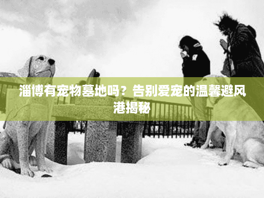 淄博有宠物墓地吗？告别爱宠的温馨避风港揭秘