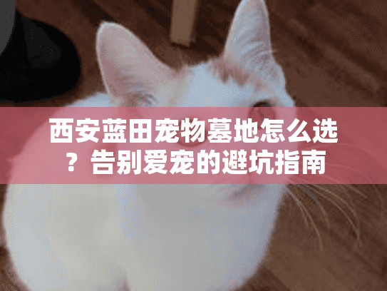 西安蓝田宠物墓地怎么选？告别爱宠的避坑指南