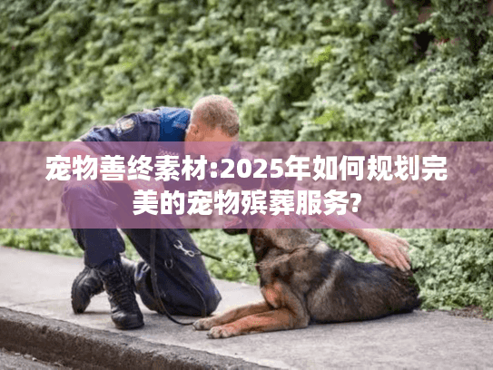 宠物善终素材:2025年如何规划完美的宠物殡葬服务?