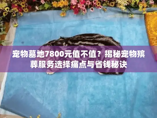宠物墓地7800元值不值？揭秘宠物殡葬服务选择痛点与省钱秘诀