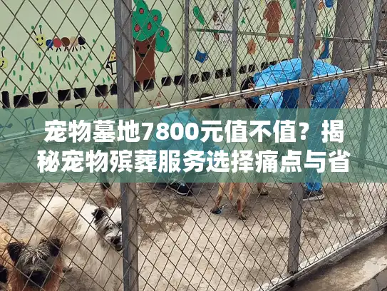 宠物墓地7800元值不值？揭秘宠物殡葬服务选择痛点与省钱秘诀