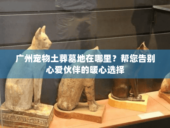 广州宠物土葬墓地在哪里？帮您告别心爱伙伴的暖心选择