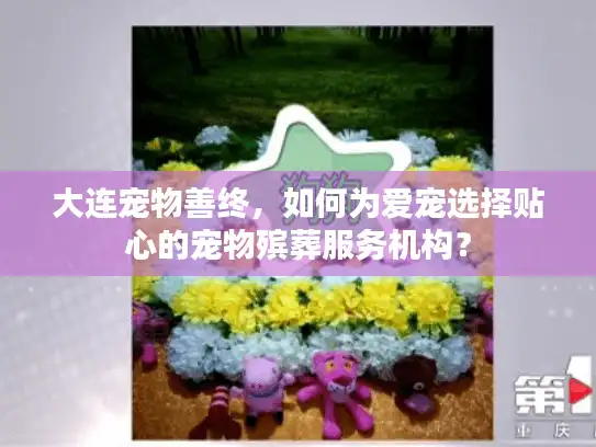 大连宠物善终，如何为爱宠选择贴心的宠物殡葬服务机构？