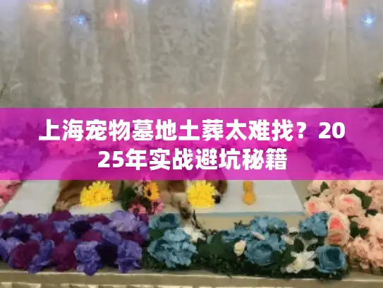 上海宠物墓地土葬太难找？2025年实战避坑秘籍