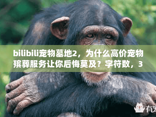 bilibili宠物墓地2，为什么高价宠物殡葬服务让你后悔莫及？字符数，32）