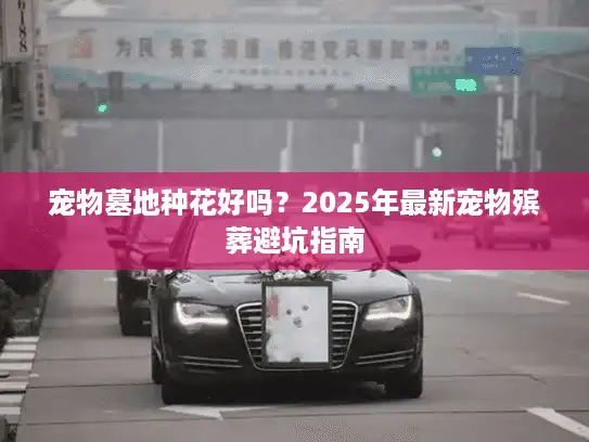 宠物墓地种花好吗？2025年最新宠物殡葬避坑指南