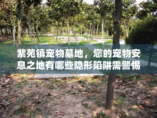 紫苑镇宠物墓地,您的宠物安息之地有哪些隐形陷阱需警惕? 紫苑镇宠物墓地,您的宠物安息之地有哪些隐形陷阱需警惕?