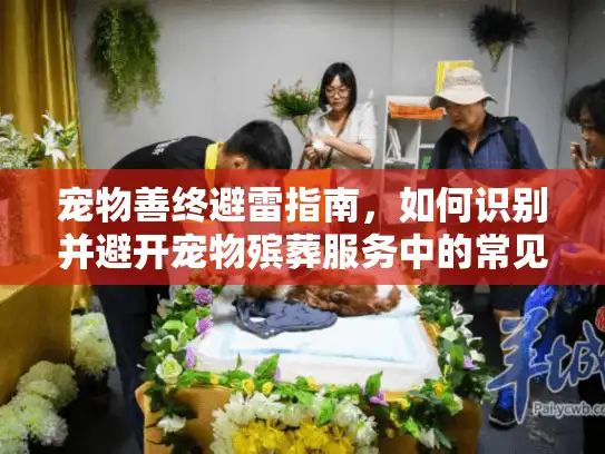 宠物善终避雷指南,如何识别并避开宠物殡葬服务中的常见陷阱与欺诈 宠物善终避雷指南,如何识别并避开宠物殡葬服务中的常见陷阱与欺诈