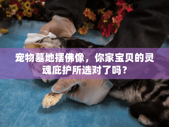 宠物墓地摆佛像，你家宝贝的灵魂庇护所选对了吗？