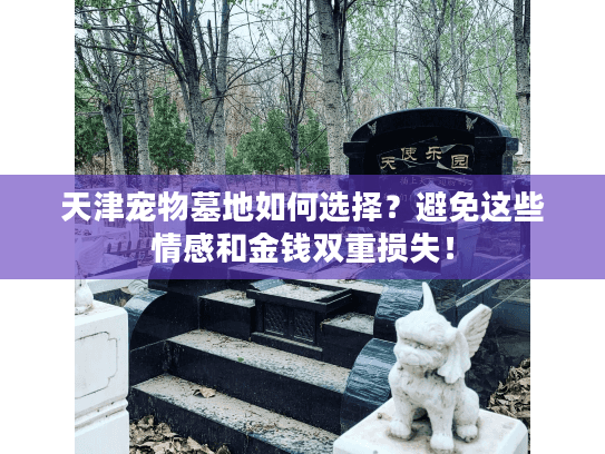 天津宠物墓地如何选择?避免这些情感和金钱双重损失! 天津宠物墓地如何选择?避免这些情感和金钱双重损失!