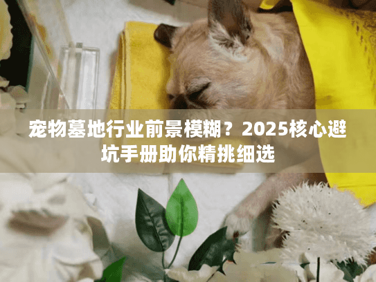 宠物墓地行业前景模糊？2025核心避坑手册助你精挑细选