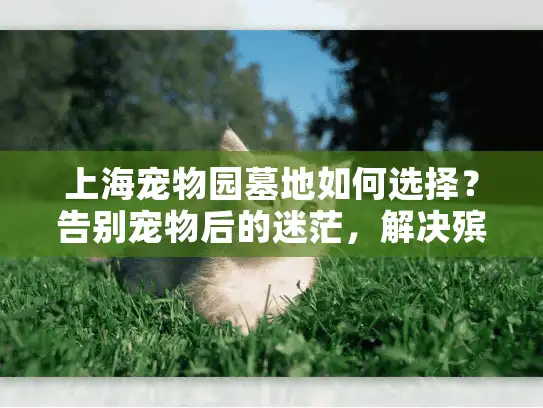 上海宠物园墓地如何选择？告别宠物后的迷茫，解决殡葬服务难题
