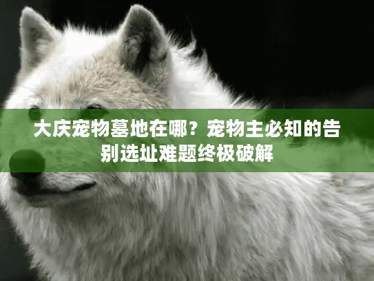 大庆宠物墓地在哪？宠物主必知的告别选址难题终极破解