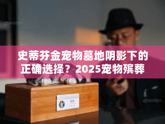 史蒂芬金宠物墓地阴影下的正确选择？2025宠物殡葬避坑指南