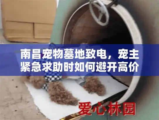 南昌宠物墓地致电，宠主紧急求助时如何避开高价陷阱安心安葬？