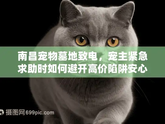 南昌宠物墓地致电，宠主紧急求助时如何避开高价陷阱安心安葬？