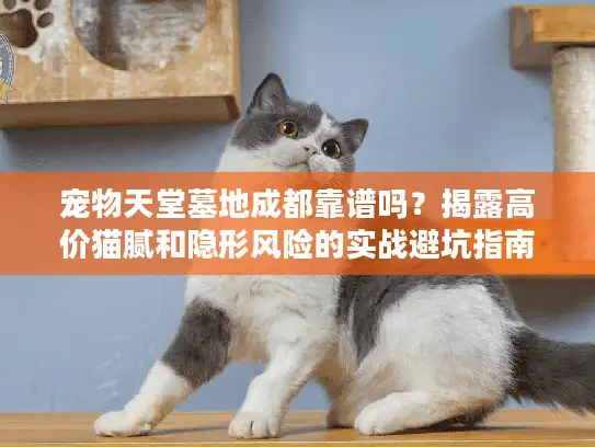 宠物天堂墓地成都靠谱吗?揭露高价猫腻和隐形风险的实战避坑指南 宠物天堂墓地成都靠谱吗?揭露高价猫腻和隐形风险的实战避坑指南