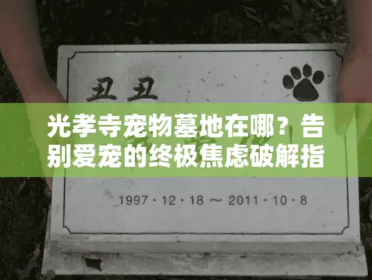 光孝寺宠物墓地在哪？告别爱宠的终极焦虑破解指南