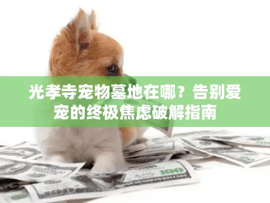 光孝寺宠物墓地在哪？告别爱宠的终极焦虑破解指南