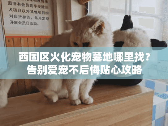 西固区火化宠物墓地哪里找？告别爱宠不后悔贴心攻略