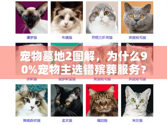 宠物墓地2图解，为什么90%宠物主选错殡葬服务？