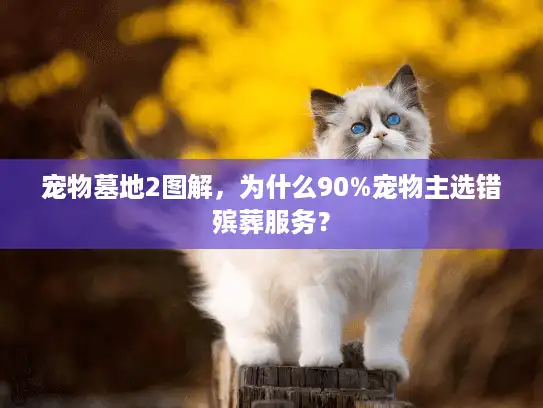 宠物墓地2图解，为什么90%宠物主选错殡葬服务？
