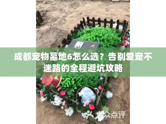 成都宠物墓地6怎么选?告别爱宠不迷路的全程避坑攻略 成都宠物墓地6怎么选?告别爱宠不迷路的全程避坑攻略