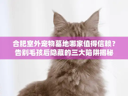 合肥室外宠物墓地哪家值得信赖？告别毛孩后隐藏的三大陷阱揭秘