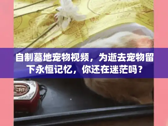 自制墓地宠物视频，为逝去宠物留下永恒记忆，你还在迷茫吗？