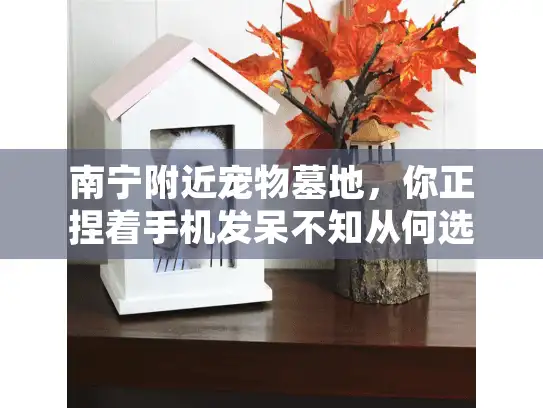 南宁附近宠物墓地，你正捏着手机发呆不知从何选起吗？