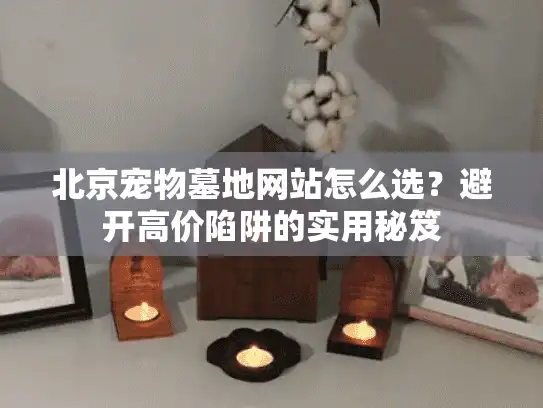 北京宠物墓地网站怎么选？避开高价陷阱的实用秘笈