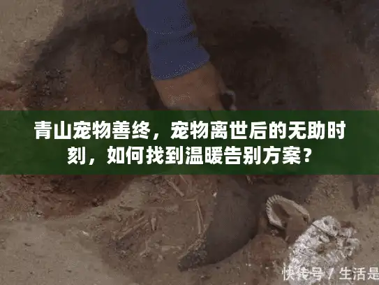 青山宠物善终，宠物离世后的无助时刻，如何找到温暖告别方案？