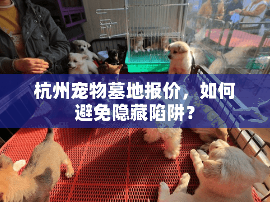 杭州宠物墓地报价，如何避免隐藏陷阱？
