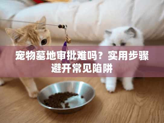 宠物墓地审批难吗？实用步骤避开常见陷阱