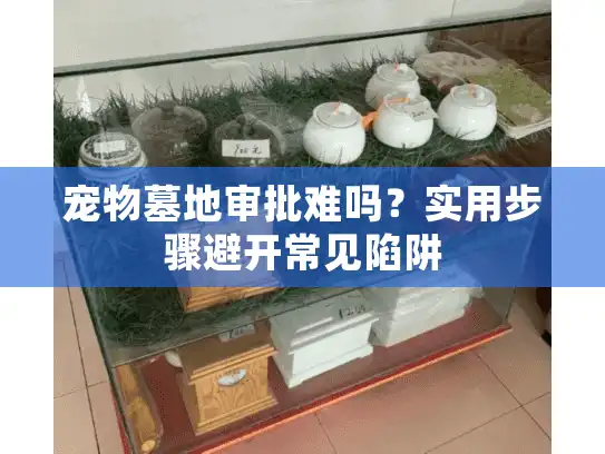 宠物墓地审批难吗？实用步骤避开常见陷阱