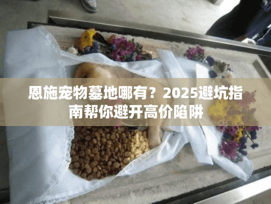 恩施宠物墓地哪有？2025避坑指南帮你避开高价陷阱