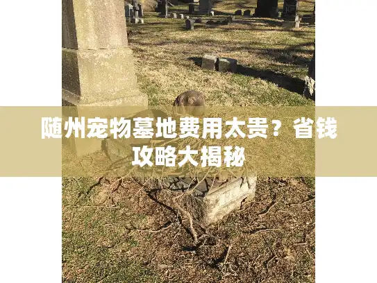 随州宠物墓地费用太贵?省钱攻略大揭秘 随州宠物墓地费用太贵?省钱攻略大揭秘