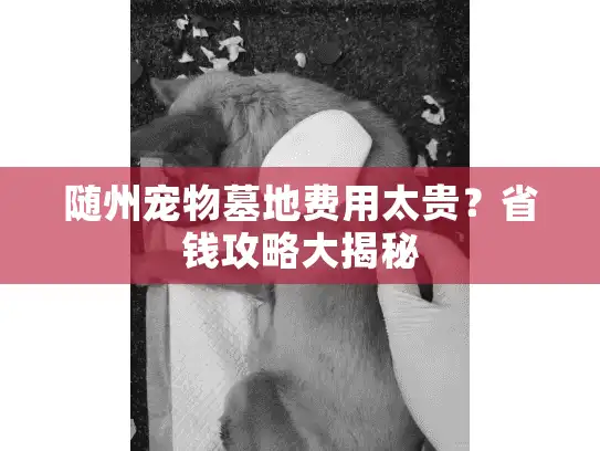 随州宠物墓地费用太贵?省钱攻略大揭秘 随州宠物墓地费用太贵?省钱攻略大揭秘