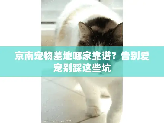 京南宠物墓地哪家靠谱?告别爱宠别踩这些坑 京南宠物墓地哪家靠谱?告别爱宠别踩这些坑