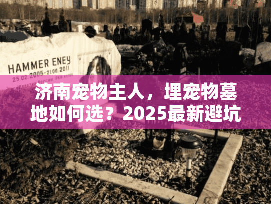 济南宠物主人，埋宠物墓地如何选？2025最新避坑实战指南