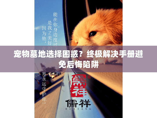 宠物墓地选择困惑？终极解决手册避免后悔陷阱