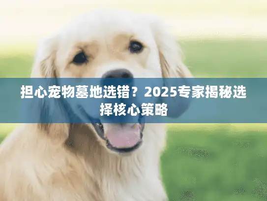 担心宠物墓地选错？2025专家揭秘选择核心策略
