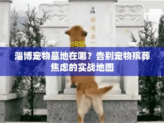 淄博宠物墓地在哪?告别宠物殡葬焦虑的实战地图 淄博宠物墓地在哪?告别宠物殡葬焦虑的实战地图