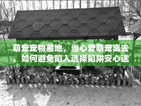 萌宠宠物墓地，当心爱萌宠离去，如何避免陷入选择陷阱安心送别？