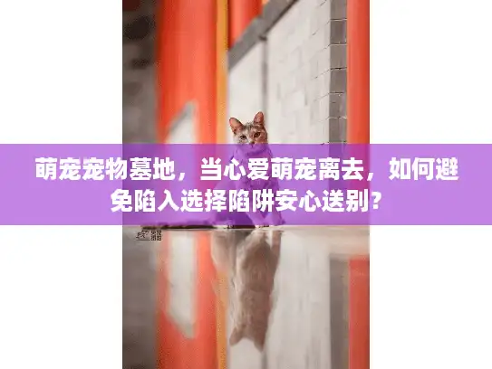 萌宠宠物墓地，当心爱萌宠离去，如何避免陷入选择陷阱安心送别？