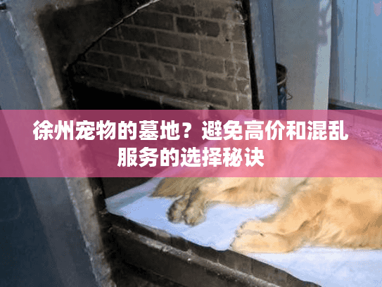 徐州宠物的墓地?避免高价和混乱服务的选择秘诀 徐州宠物的墓地?避免高价和混乱服务的选择秘诀