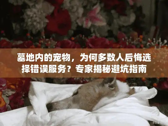 墓地内的宠物,为何多数人后悔选择错误服务?专家揭秘避坑指南 墓地内的宠物,为何多数人后悔选择错误服务?专家揭秘避坑指南
